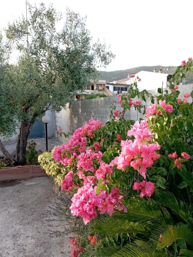 Oleandro Villa Iglesias Buitenkant foto