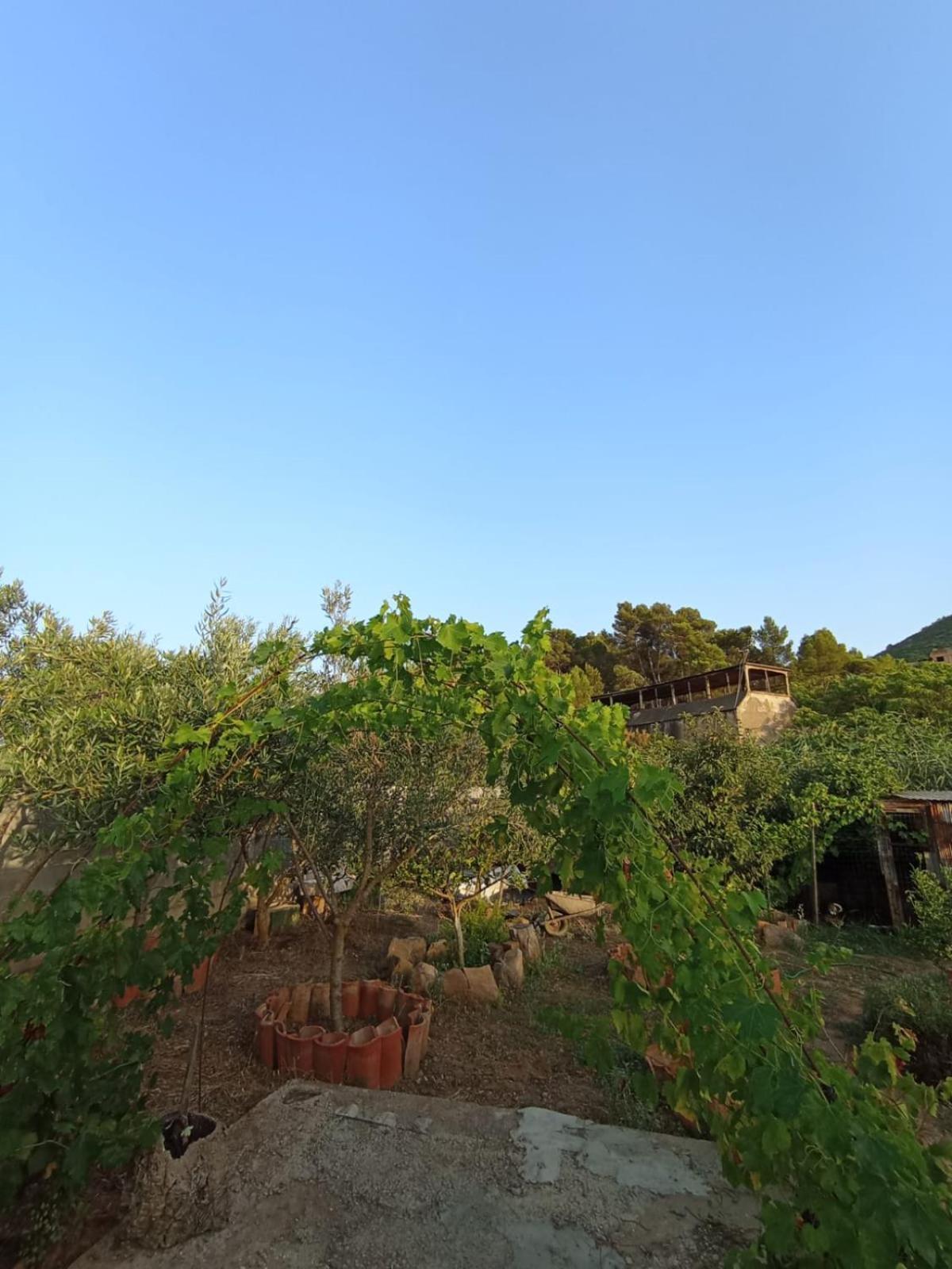 Oleandro Villa Iglesias Buitenkant foto